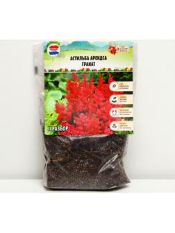 Астильба Арендса 