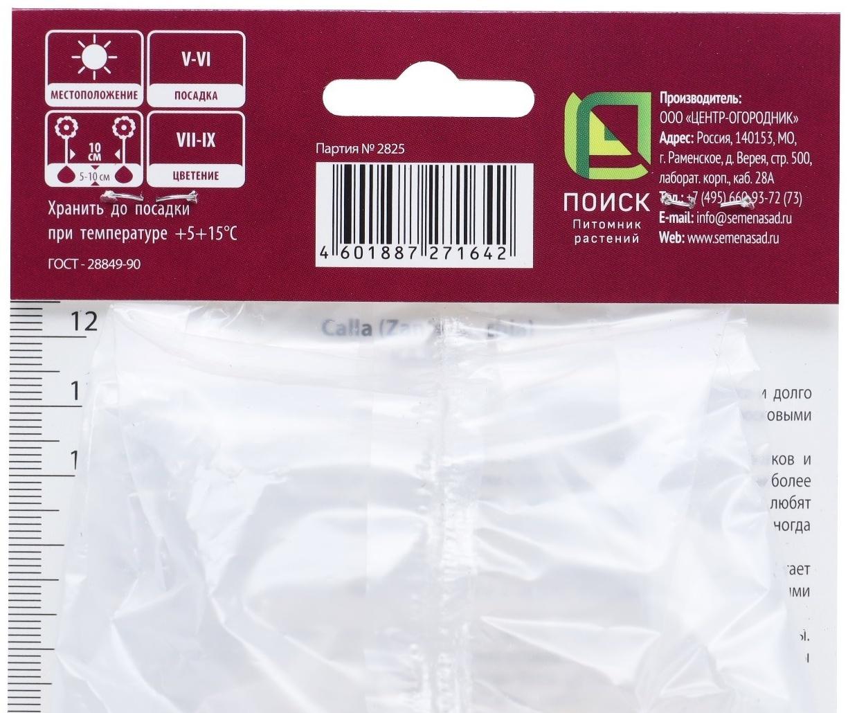 Калла Блэк Форист, р-р 14/16, 1 шт, Весна 2024