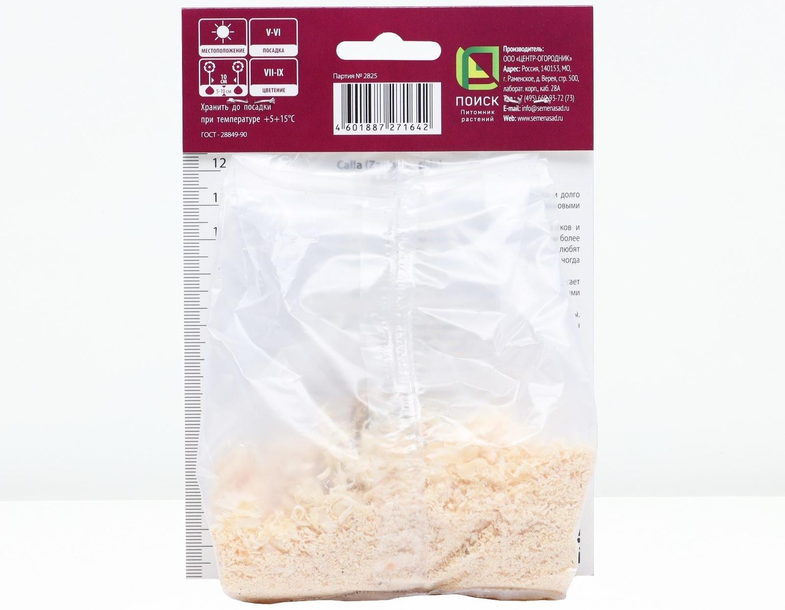 Калла Блэк Форист, р-р 14/16, 1 шт, Весна 2024