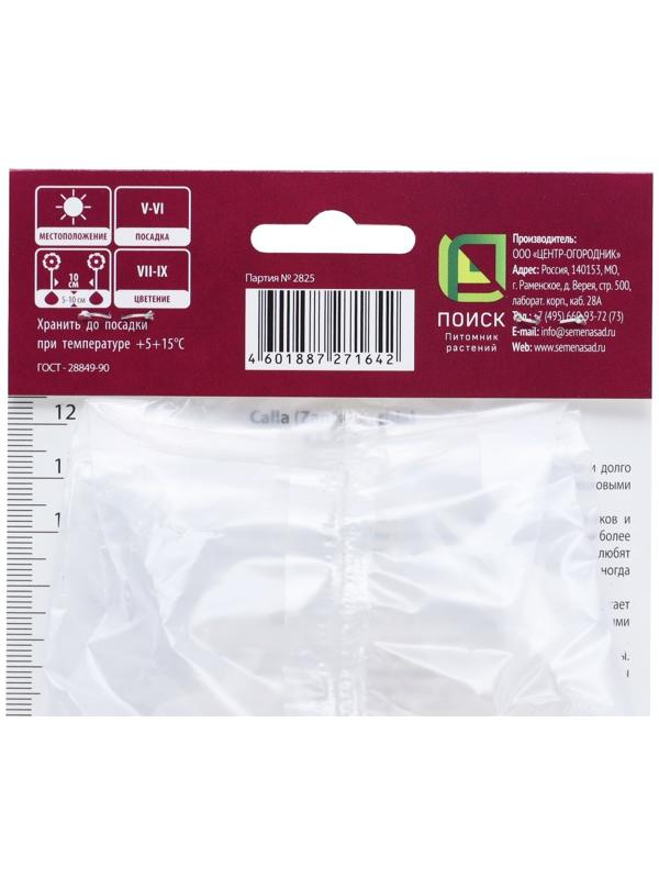 Калла Блэк Форист, р-р 14/16, 1 шт, Весна 2024