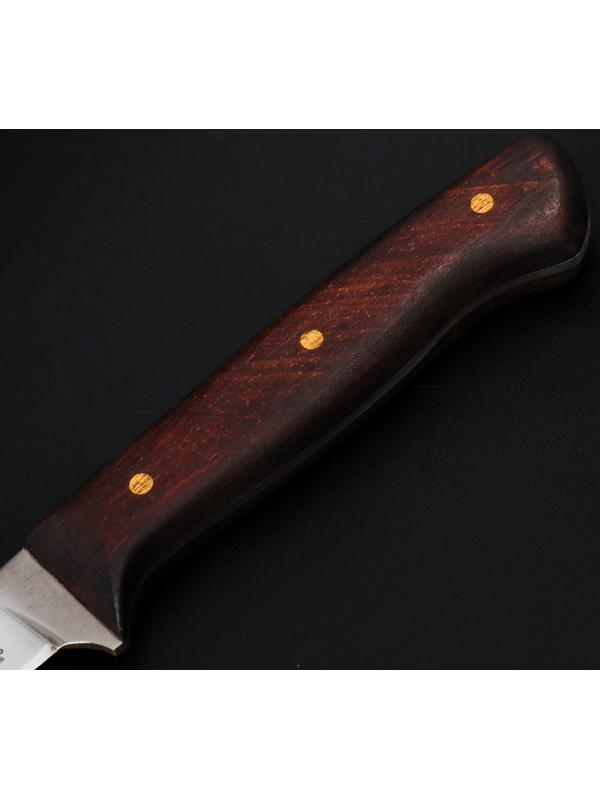 Нож кухонный филейный Wild Kitchen, сталь 95×18, лезвие 17 см