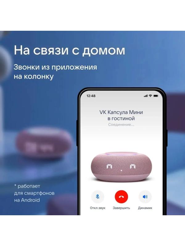 Умная колонка VK Капсула  мини (MRC02PI),голосовой помощник Маруся,5Вт,Wi-Fi, BT4.2,розовая