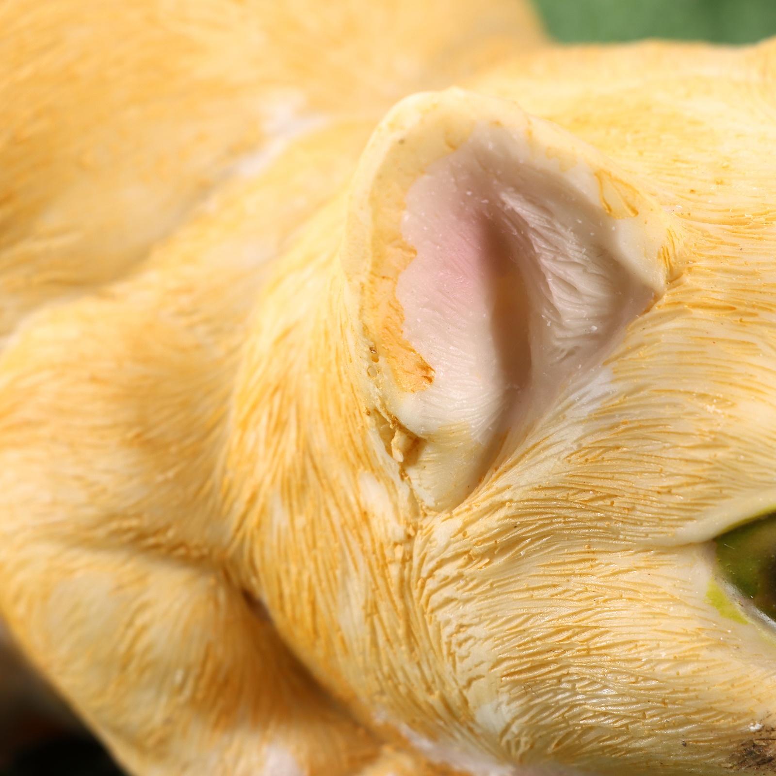 Садовая фигура 