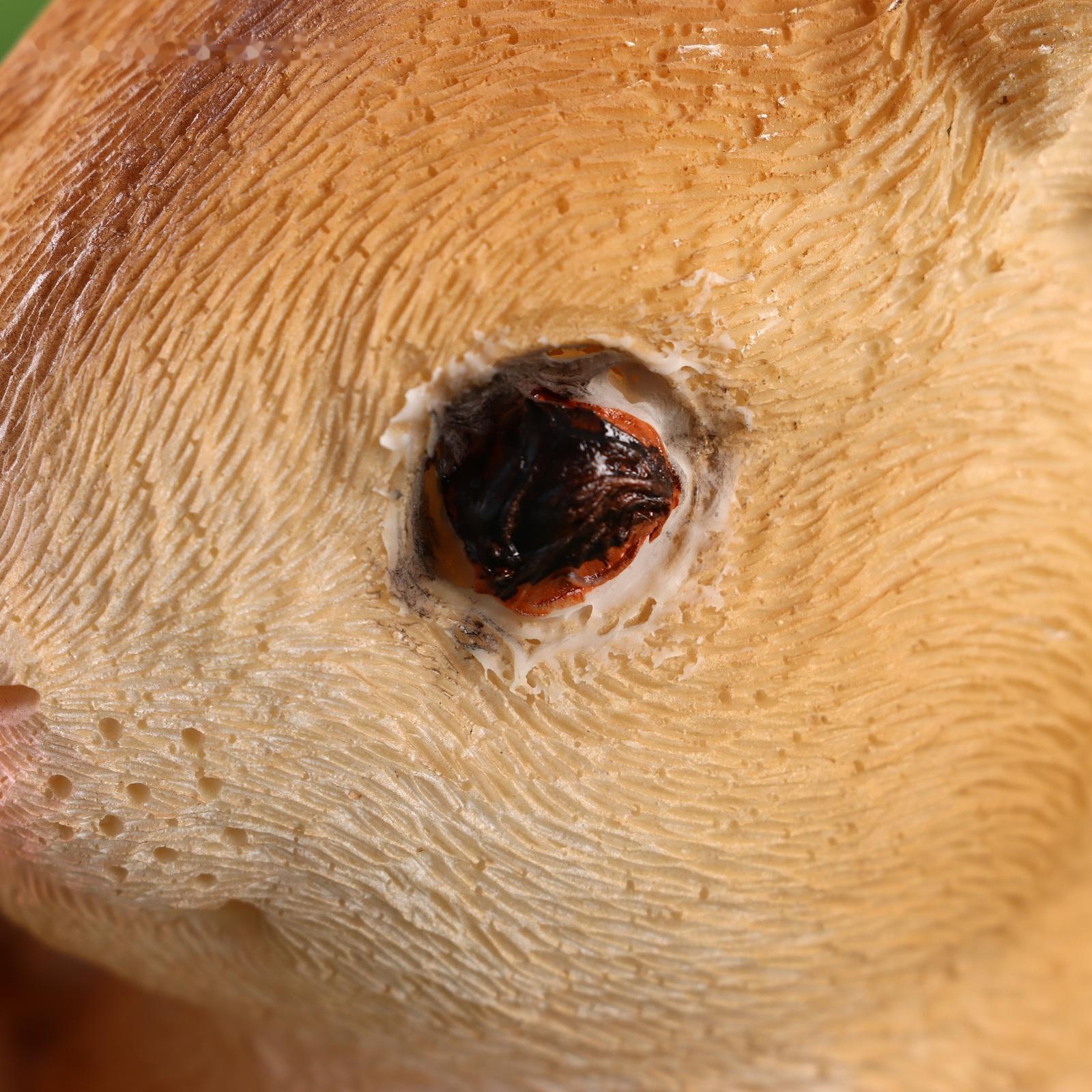 Садовая фигура 