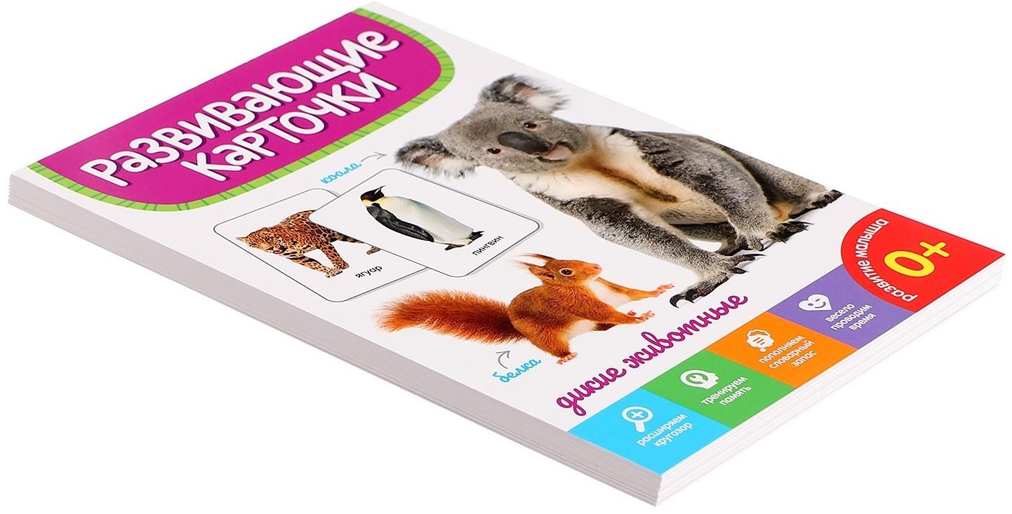 Развивающие карточки «Дикие животные»