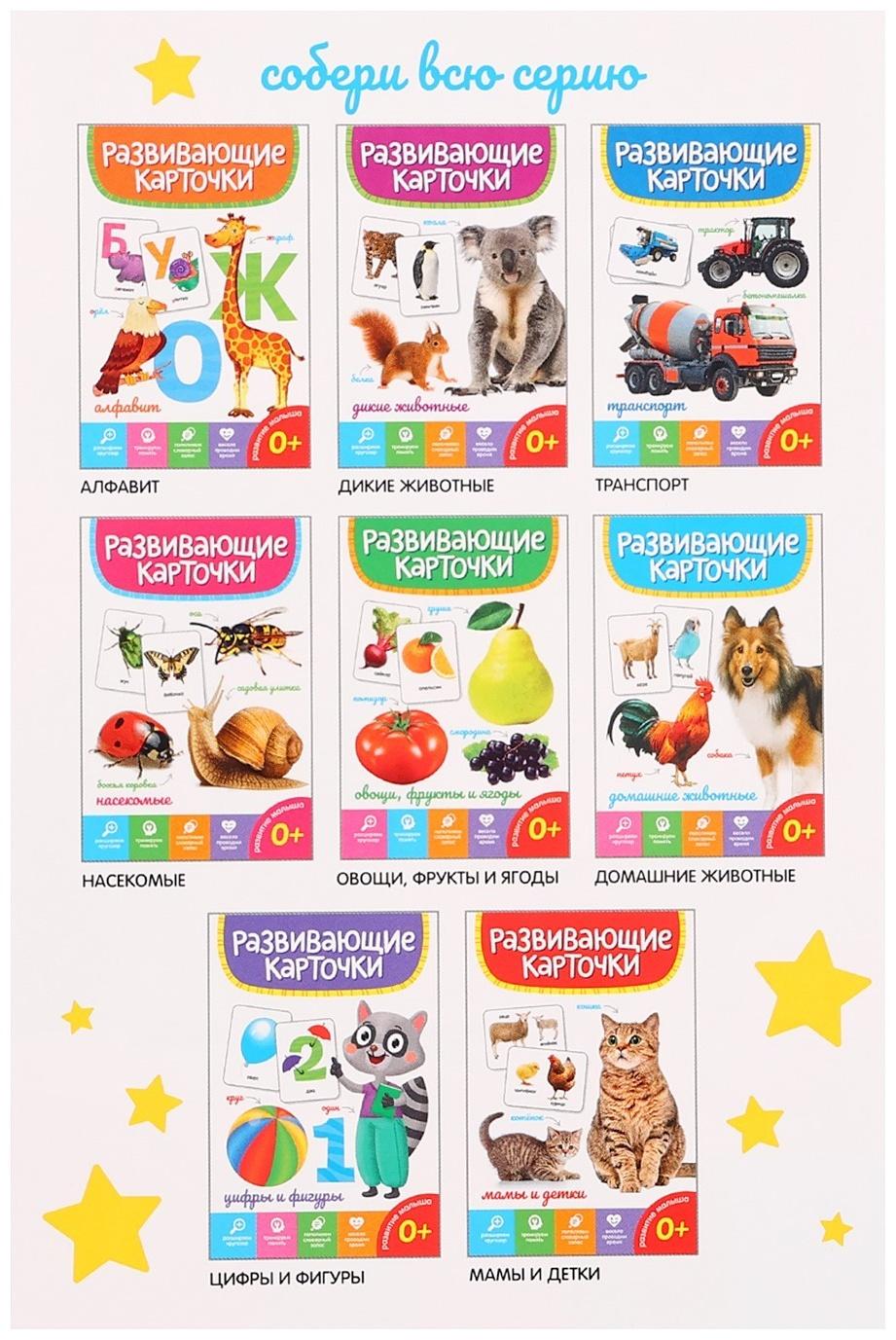 Развивающие карточки «Дикие животные»