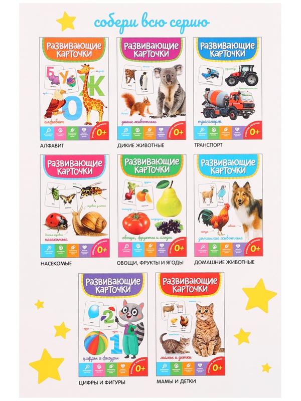 Развивающие карточки «Дикие животные»