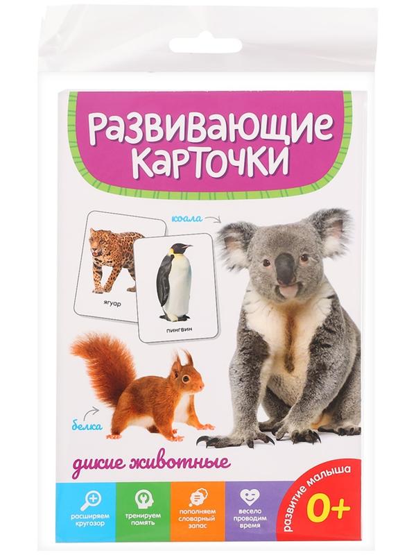 Развивающие карточки «Дикие животные»