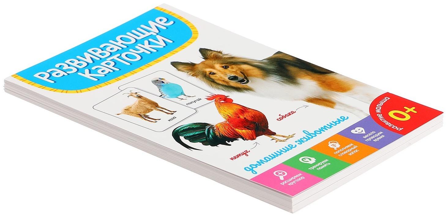 Развивающие карточки «Домашние животные»