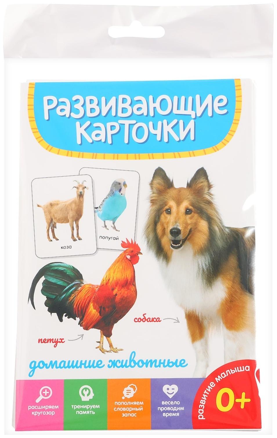 Развивающие карточки «Домашние животные»