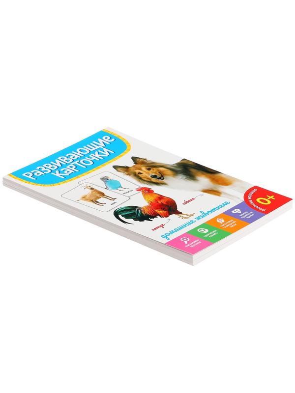 Развивающие карточки «Домашние животные»