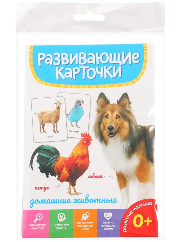 Развивающие карточки «Домашние животные»