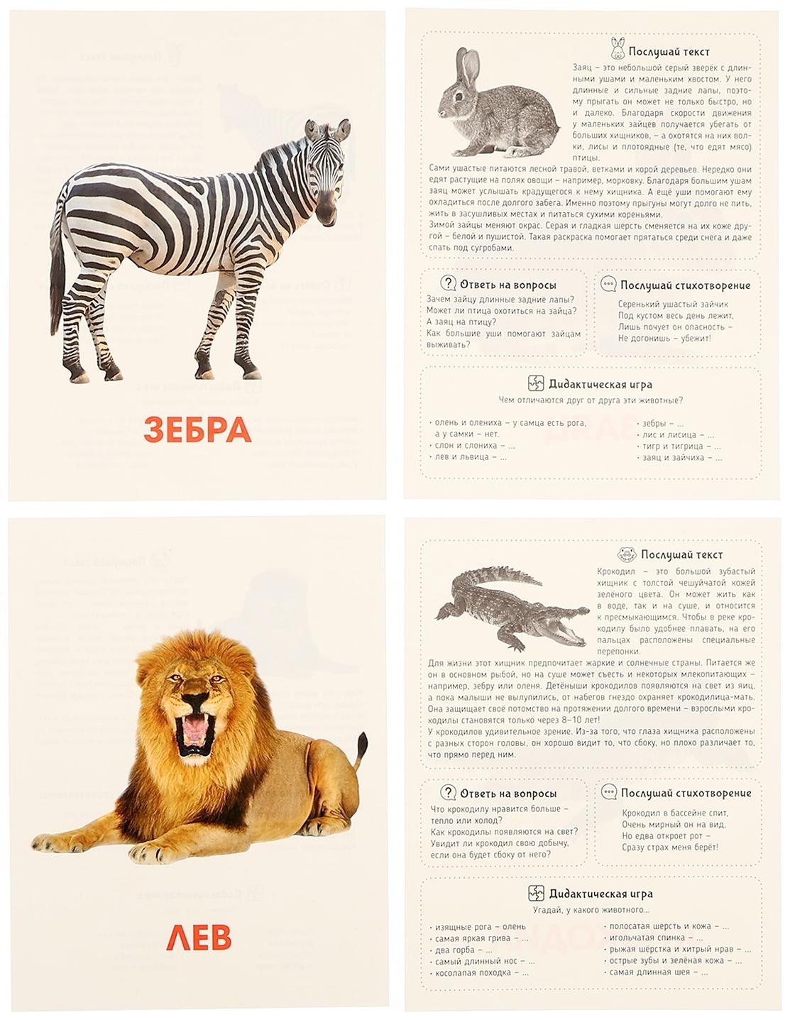Обучающие карточки «Дикие животные»