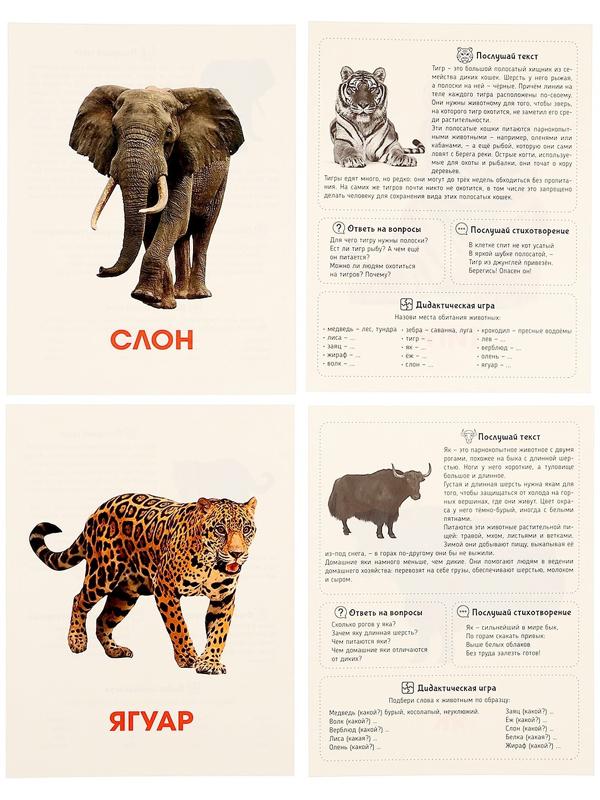 Обучающие карточки «Дикие животные»