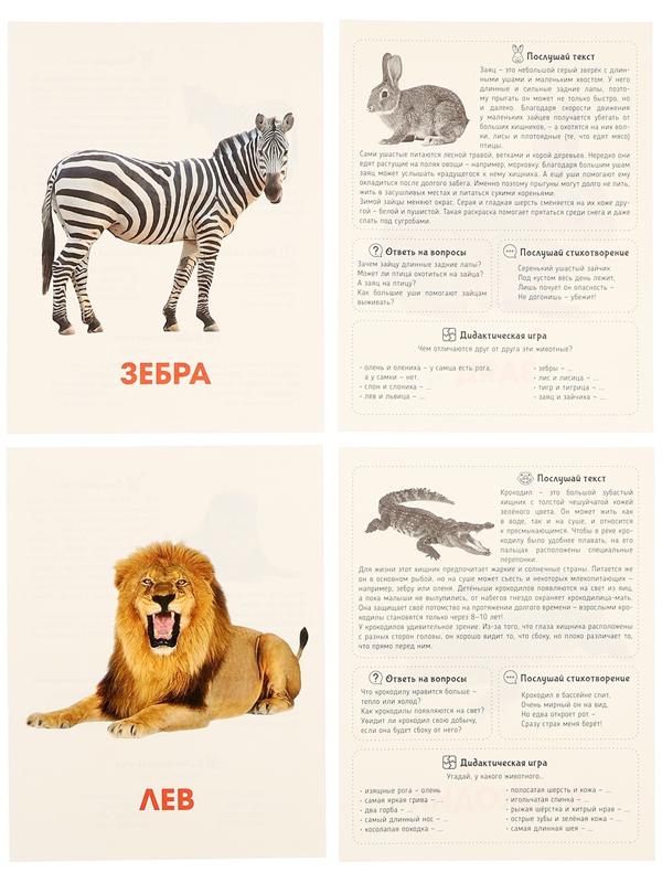 Обучающие карточки «Дикие животные»