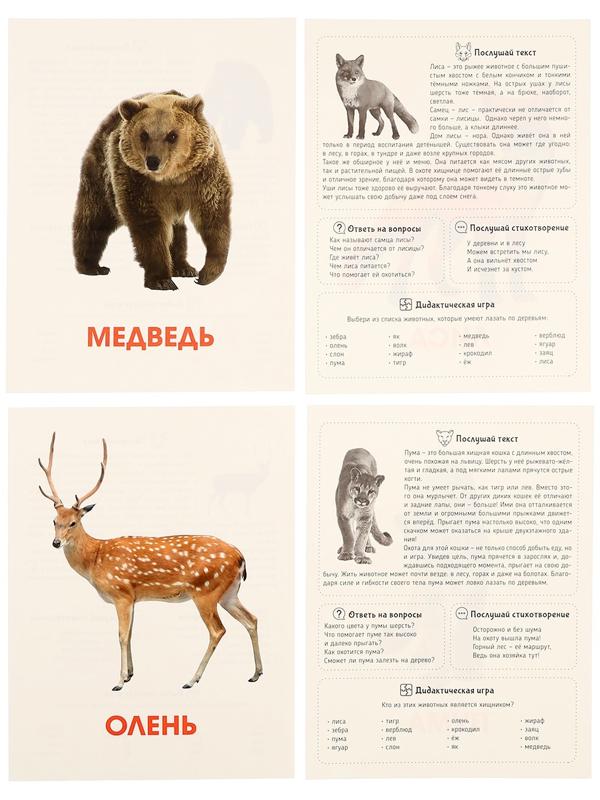 Обучающие карточки «Дикие животные»