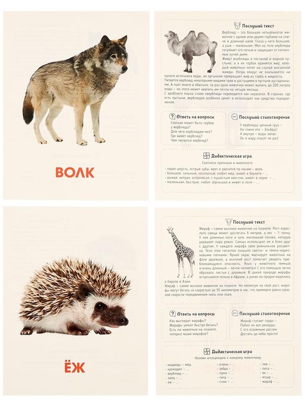 Обучающие карточки «Дикие животные»