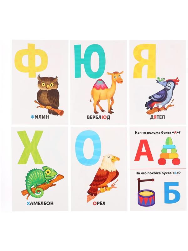 Развивающие карточки «Алфавит»
