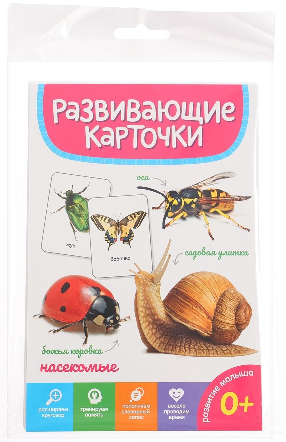 Развивающие карточки «Насекомые»