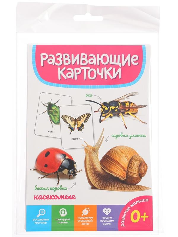 Развивающие карточки «Насекомые»