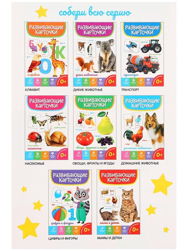 Развивающие карточки «Насекомые»