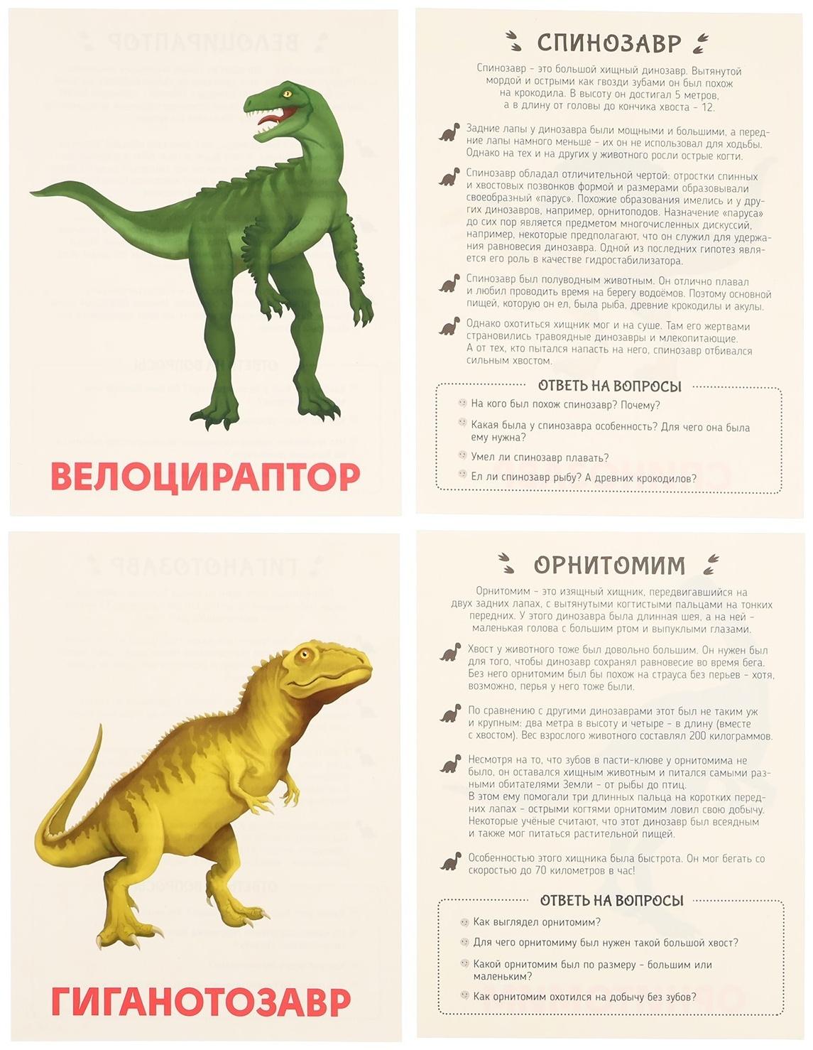 Обучающие карточки «Динозавры»