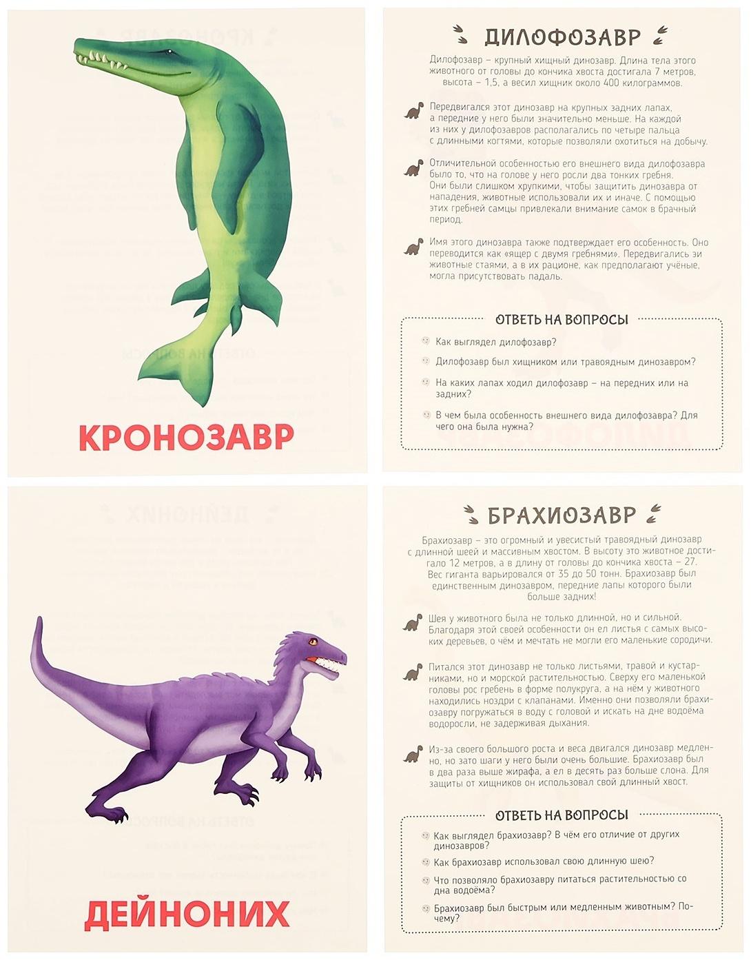 Обучающие карточки «Динозавры»