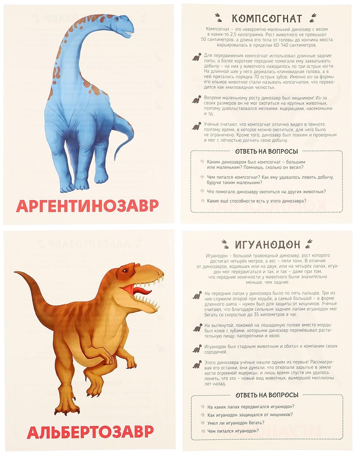 Обучающие карточки «Динозавры»