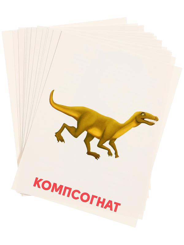 Обучающие карточки «Динозавры»