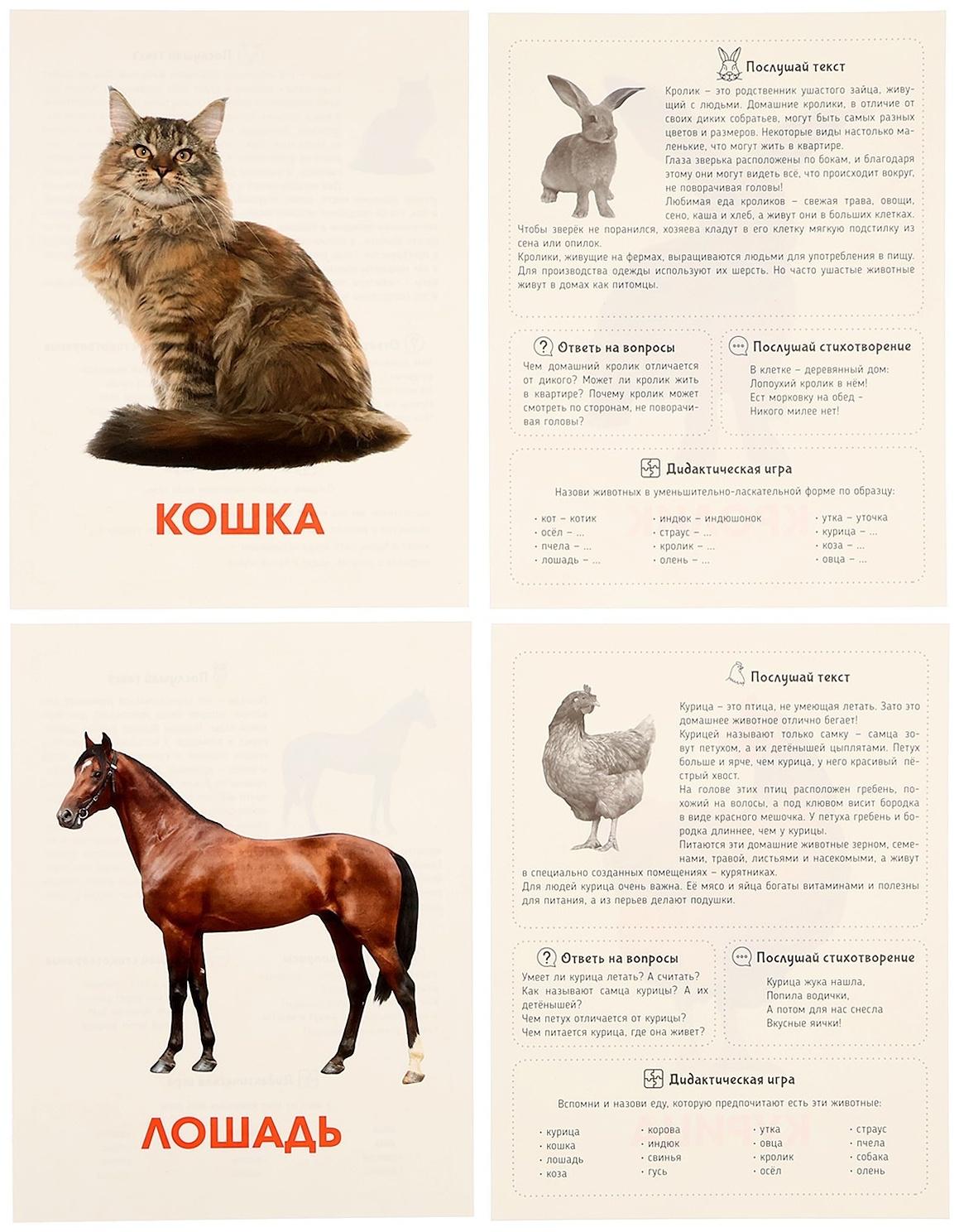 Обучающие карточки «Домашние животные»