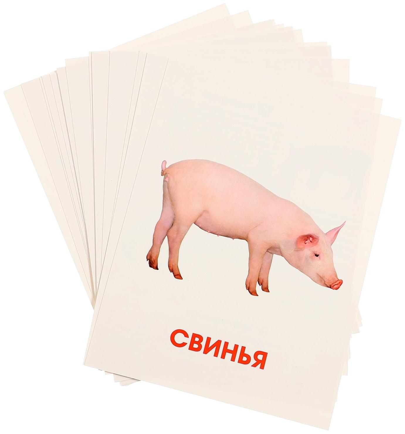 Обучающие карточки «Домашние животные»