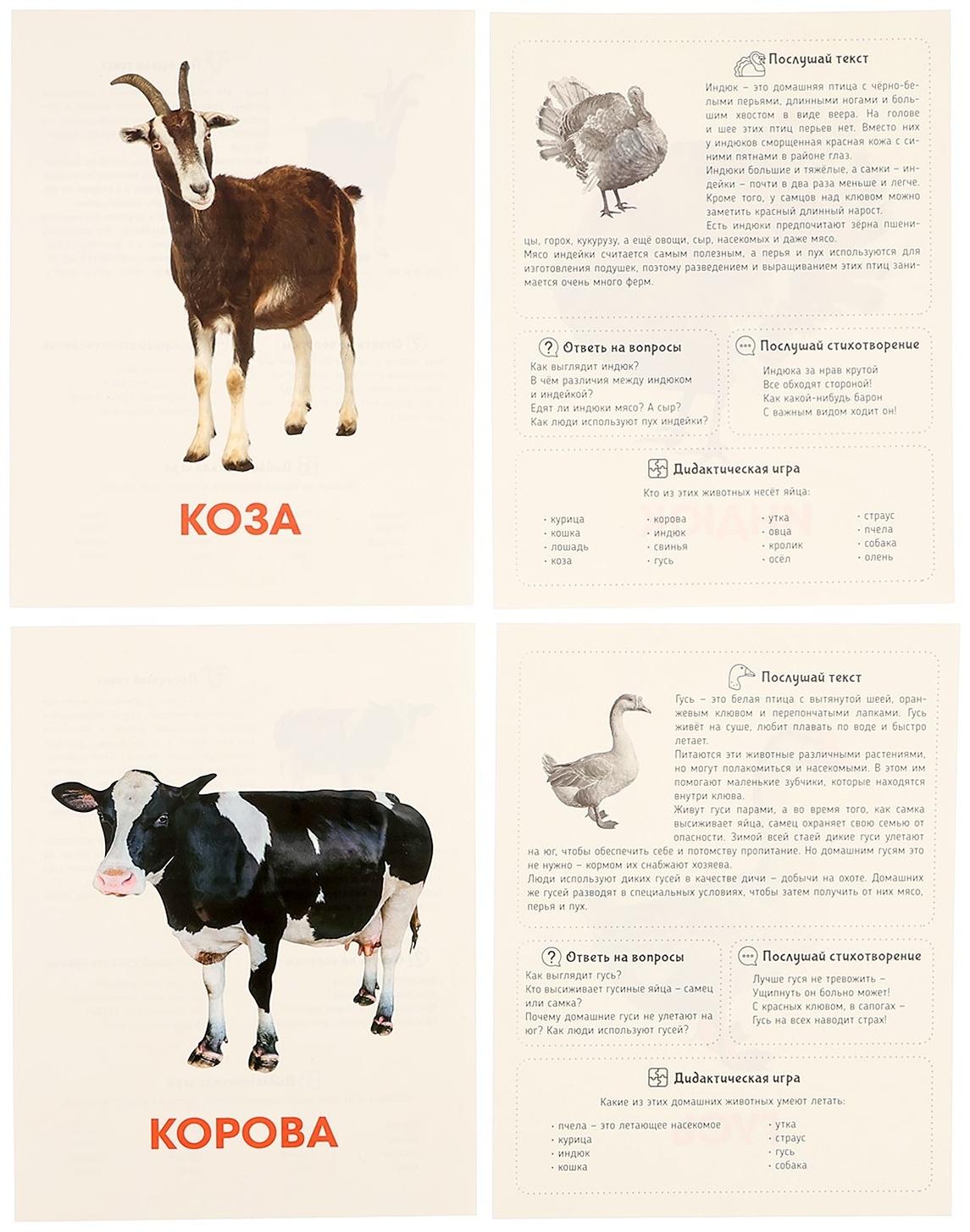 Обучающие карточки «Домашние животные»