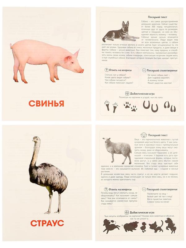 Обучающие карточки «Домашние животные»