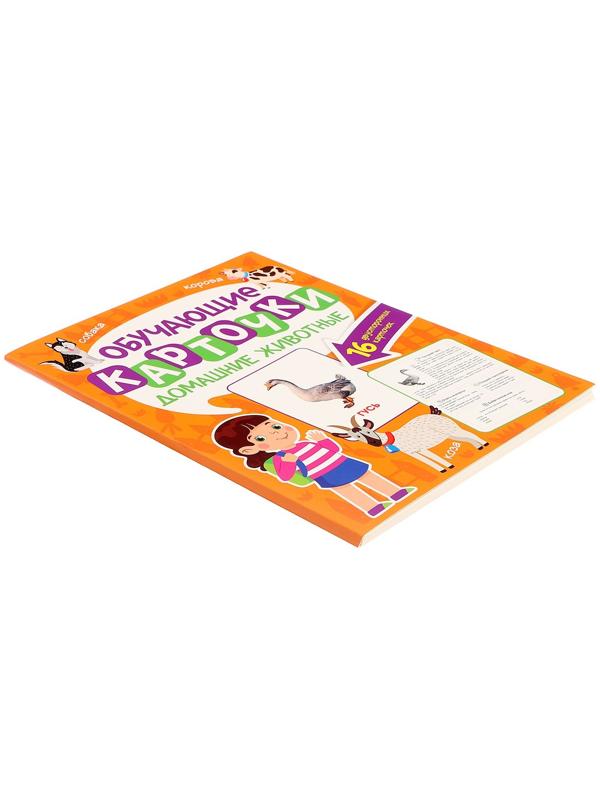 Обучающие карточки «Домашние животные»