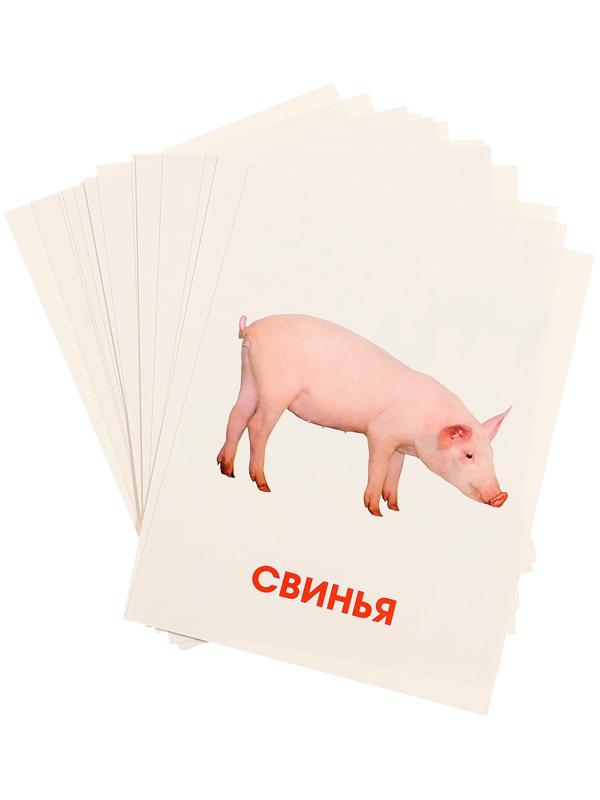 Обучающие карточки «Домашние животные»