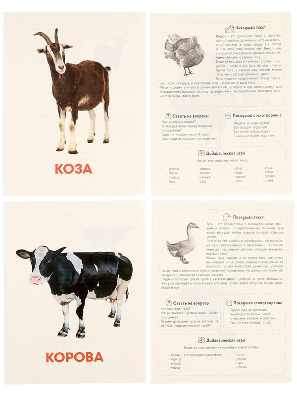 Обучающие карточки «Домашние животные»