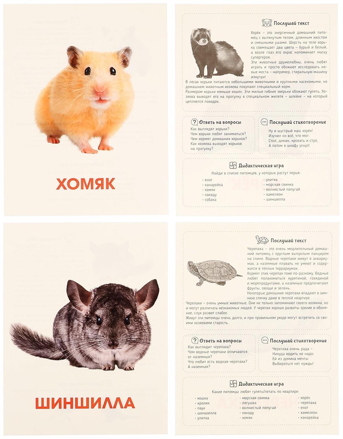 Обучающие карточки «Питомцы»