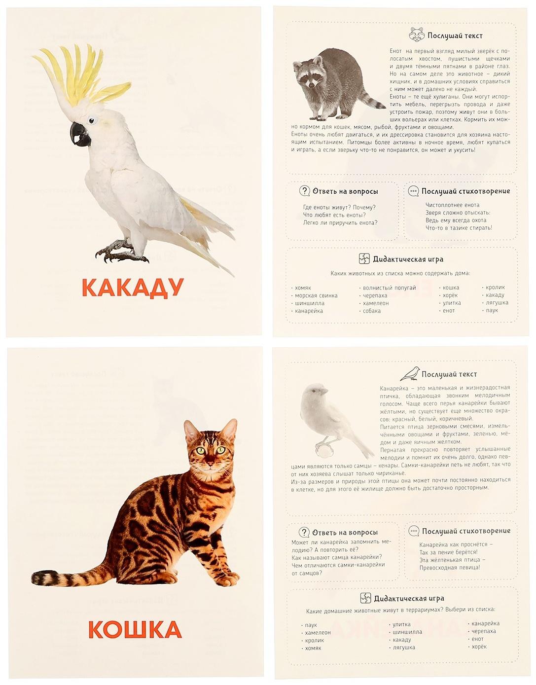 Обучающие карточки «Питомцы»
