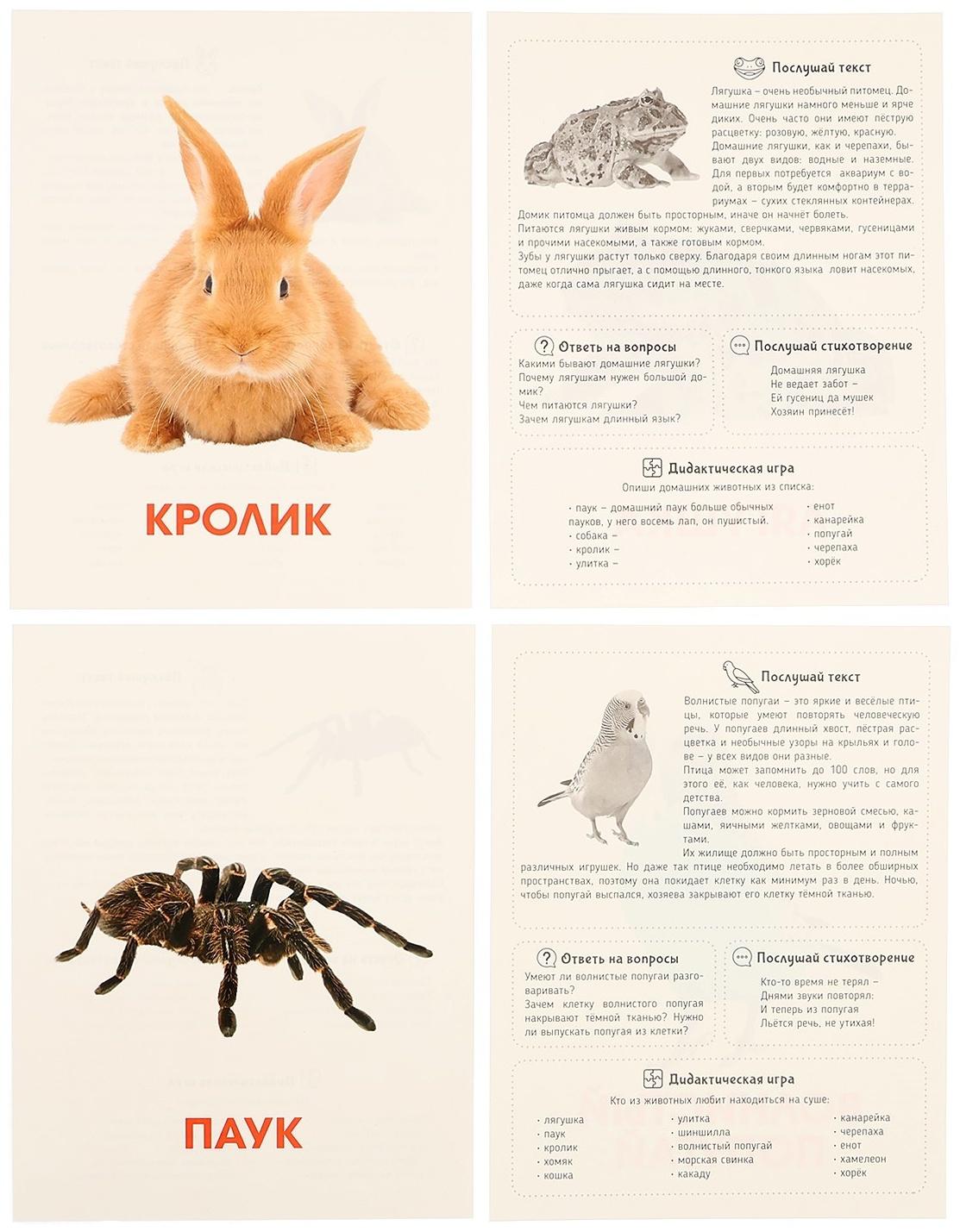 Обучающие карточки «Питомцы»