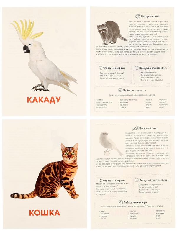 Обучающие карточки «Питомцы»