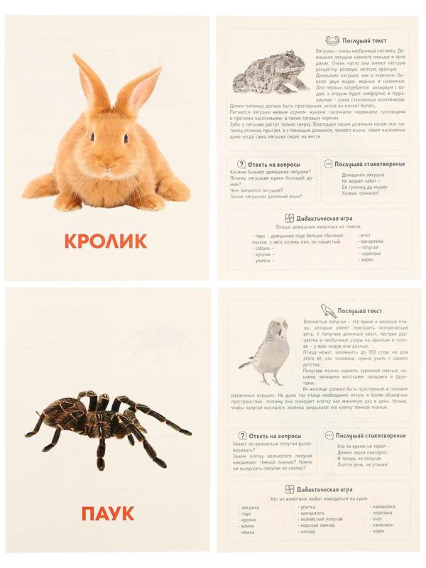 Обучающие карточки «Питомцы»