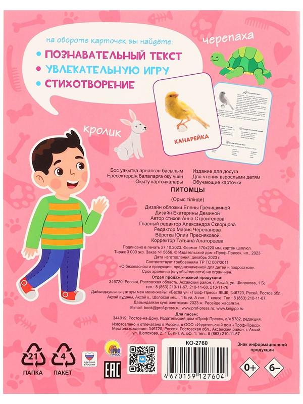 Обучающие карточки «Питомцы»