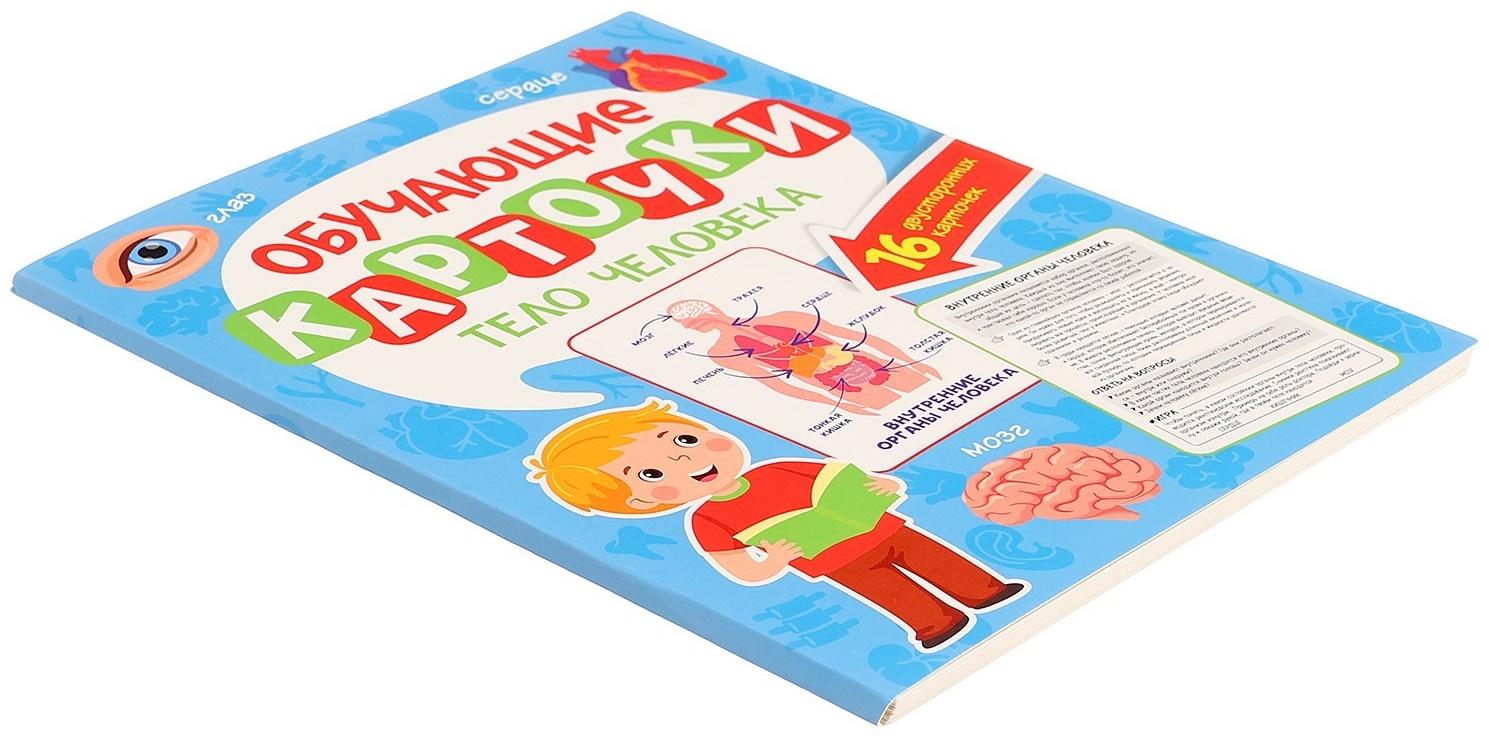 Обучающие карточки «Тело человека»