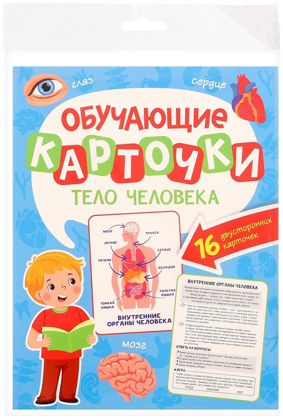 Обучающие карточки «Тело человека»