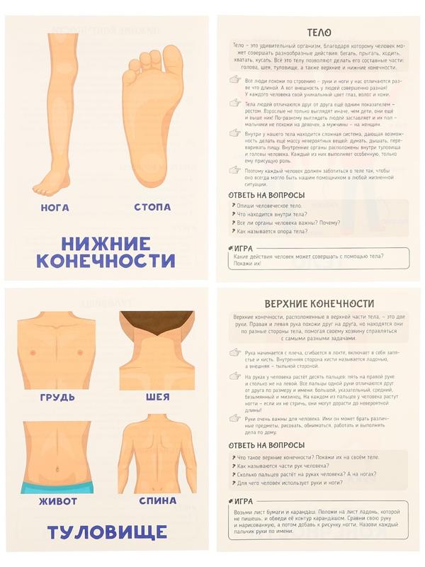Обучающие карточки «Тело человека»