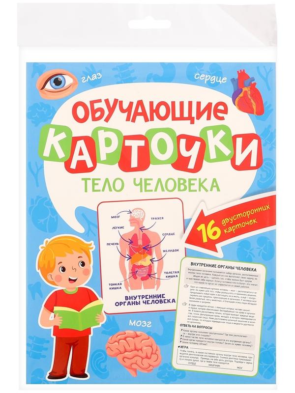 Обучающие карточки «Тело человека»
