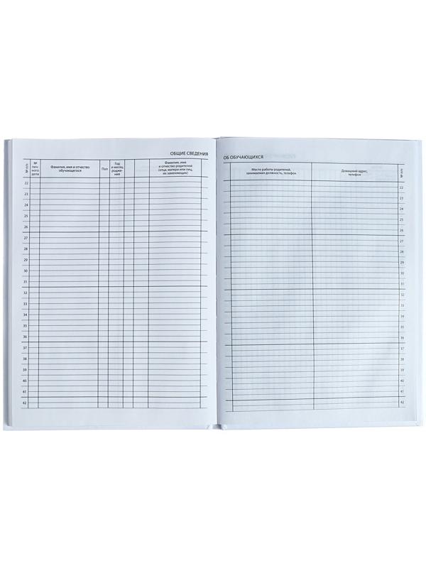 Классный журнал для 1-11 классов А4, 96 листов, твёрдая обложка, белый блок