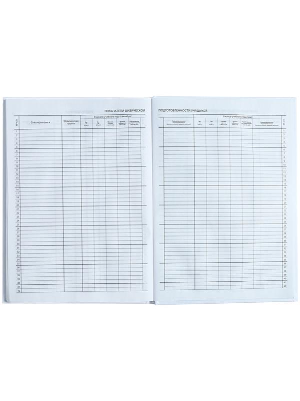 Классный журнал для 1-11 классов А4, 96 листов, твёрдая обложка, белый блок