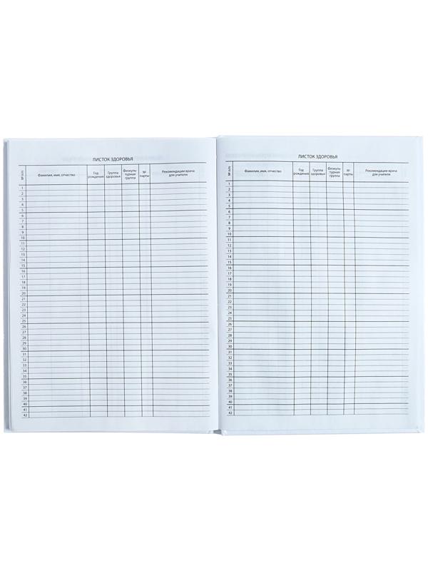 Классный журнал для 1-11 классов А4, 96 листов, твёрдая обложка, белый блок