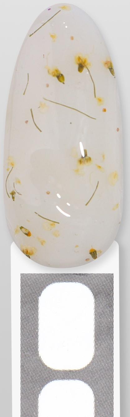 Гель для наращивания, с сухоцветами, 3-х фазный, 9 гр, LED/UV, цвет прозрачный/белый